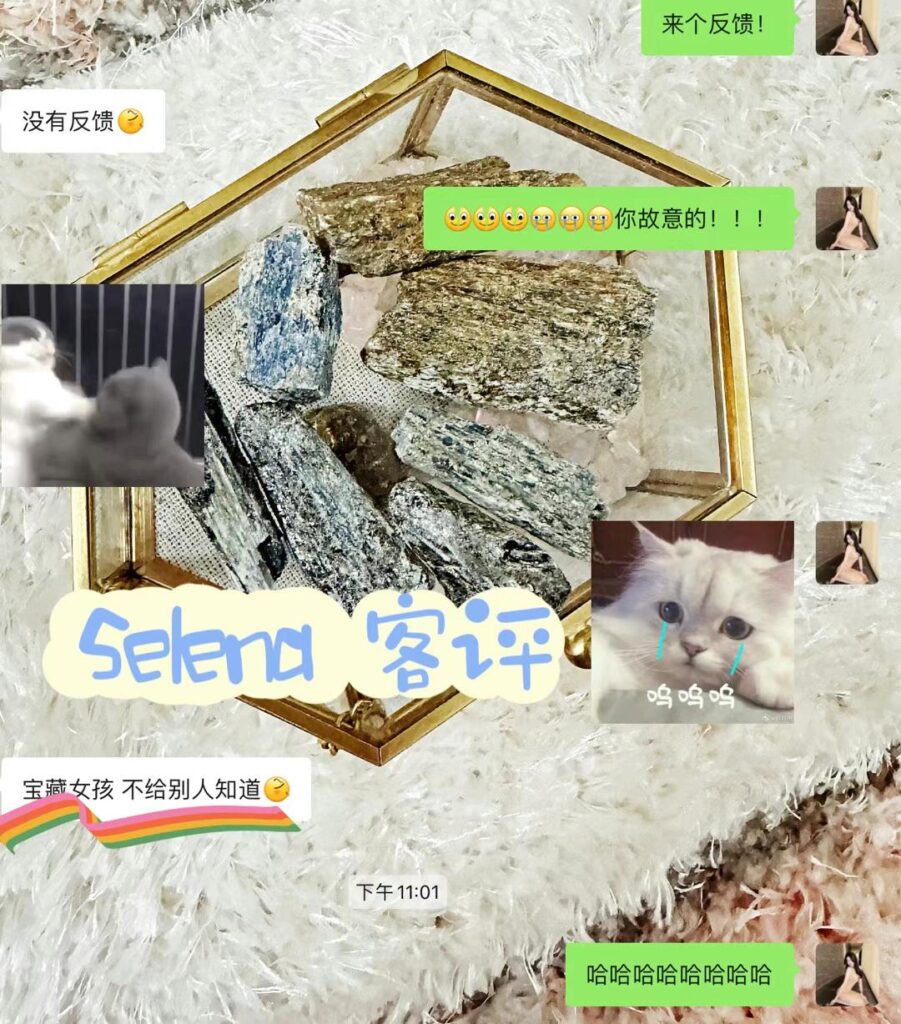 GF强推战将Selena♥️隐藏版绝绝子 典藏女孩-第10张